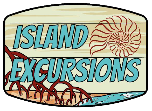 🏝️ Marco Island Excursions & Tours